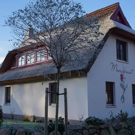 Meeresbraut Comfortable *