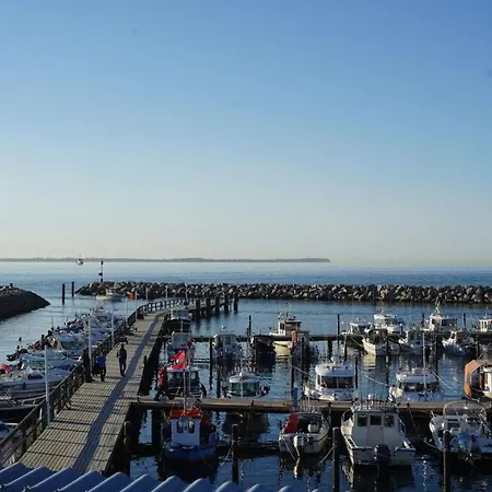 Meeresbraut Comfortable *