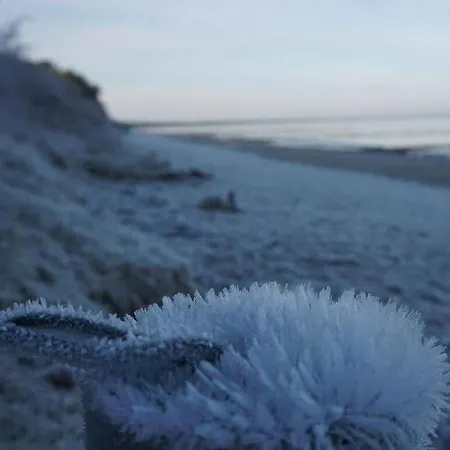 Meeresbraut Comfortable *